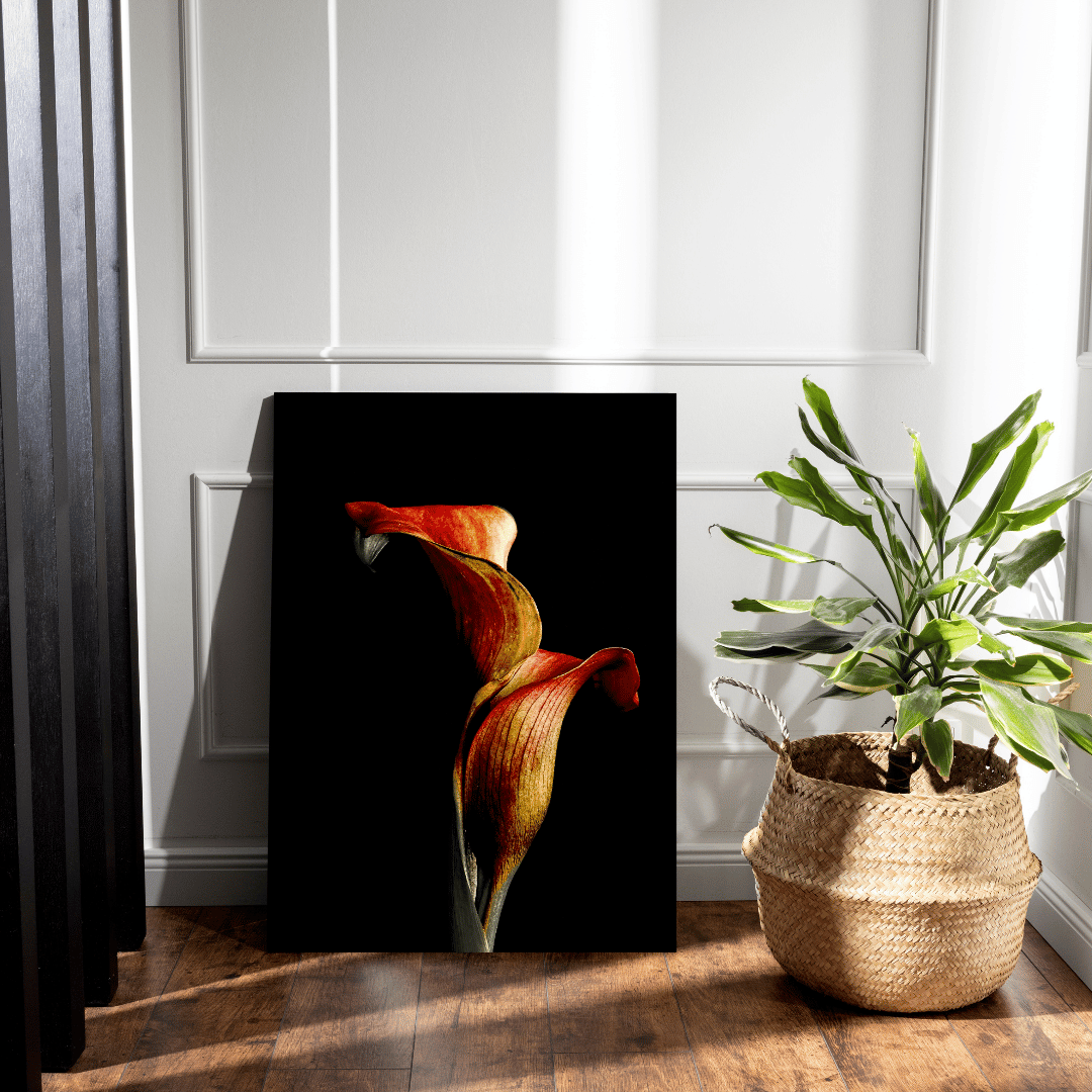 Calla Elegance botanische kunstprint tegen witte lambrisering naast groene plant in rieten mand, moderne interieur styling met natuurlijke accenten