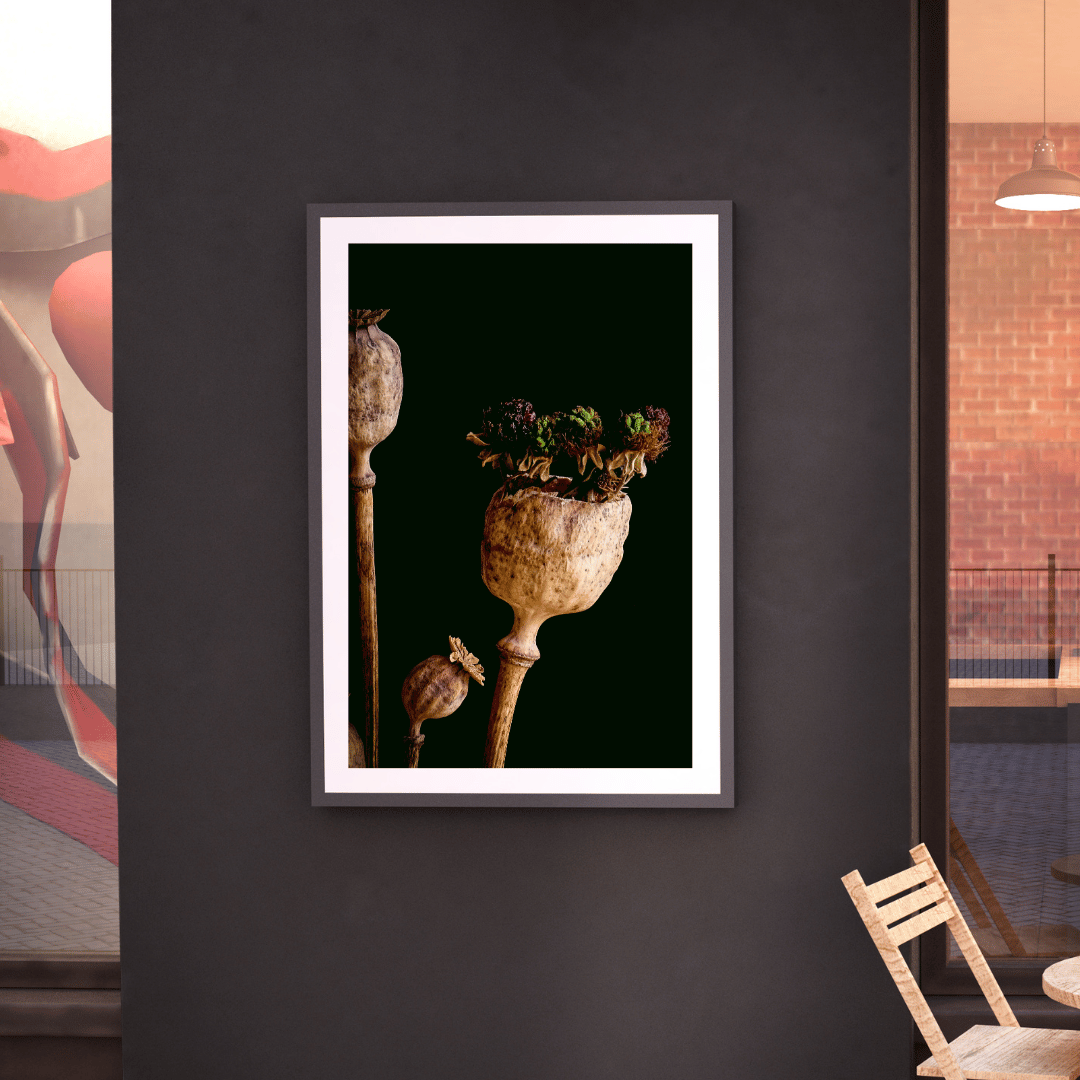 Papaver Poster | Poppy's Twilight