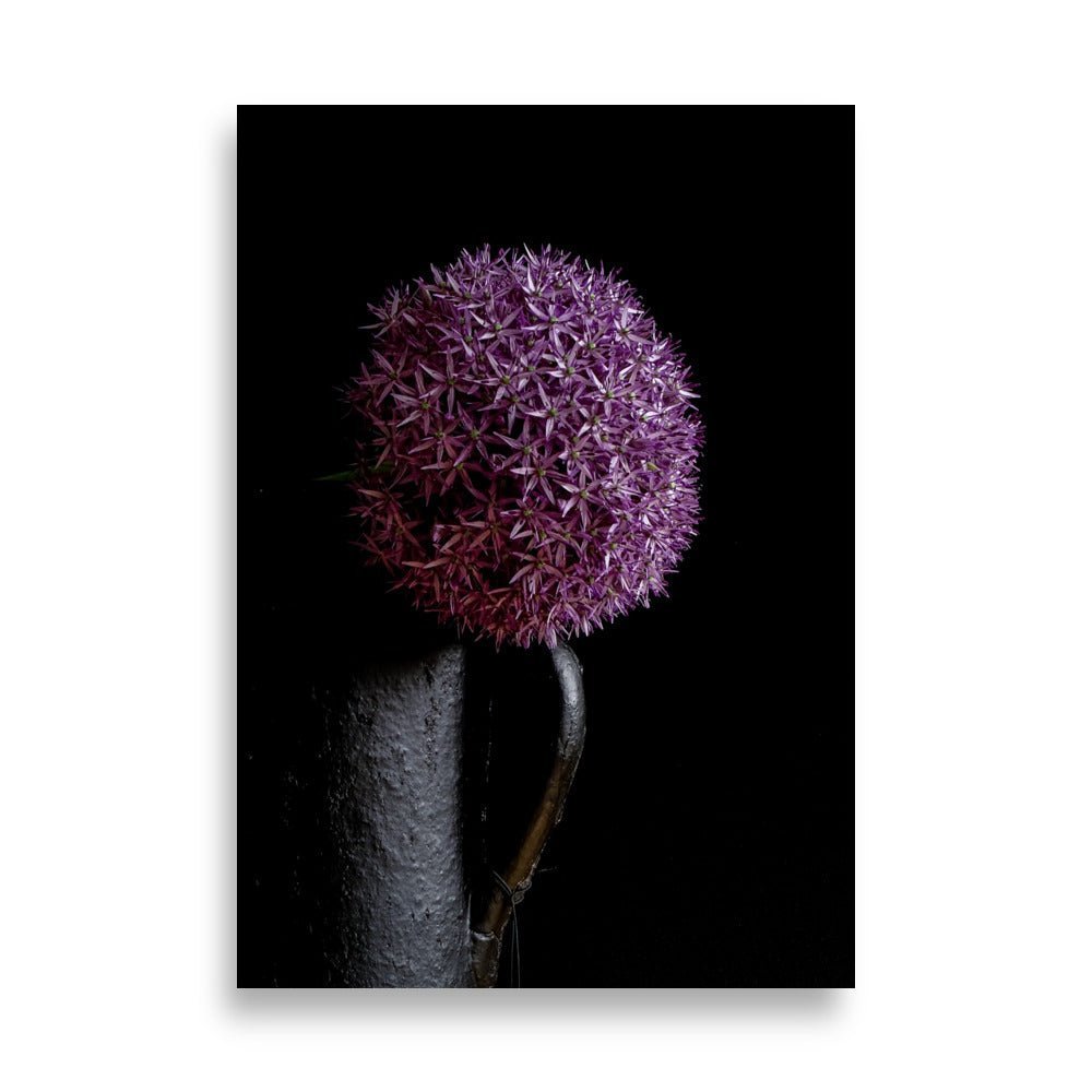 Paarse allium (sierui) bloem met bolvormige bloemkop bestaande uit talrijke kleine stervormige bloemetjes, geplaatst in een donkere vaas tegen een zwarte achtergrond.