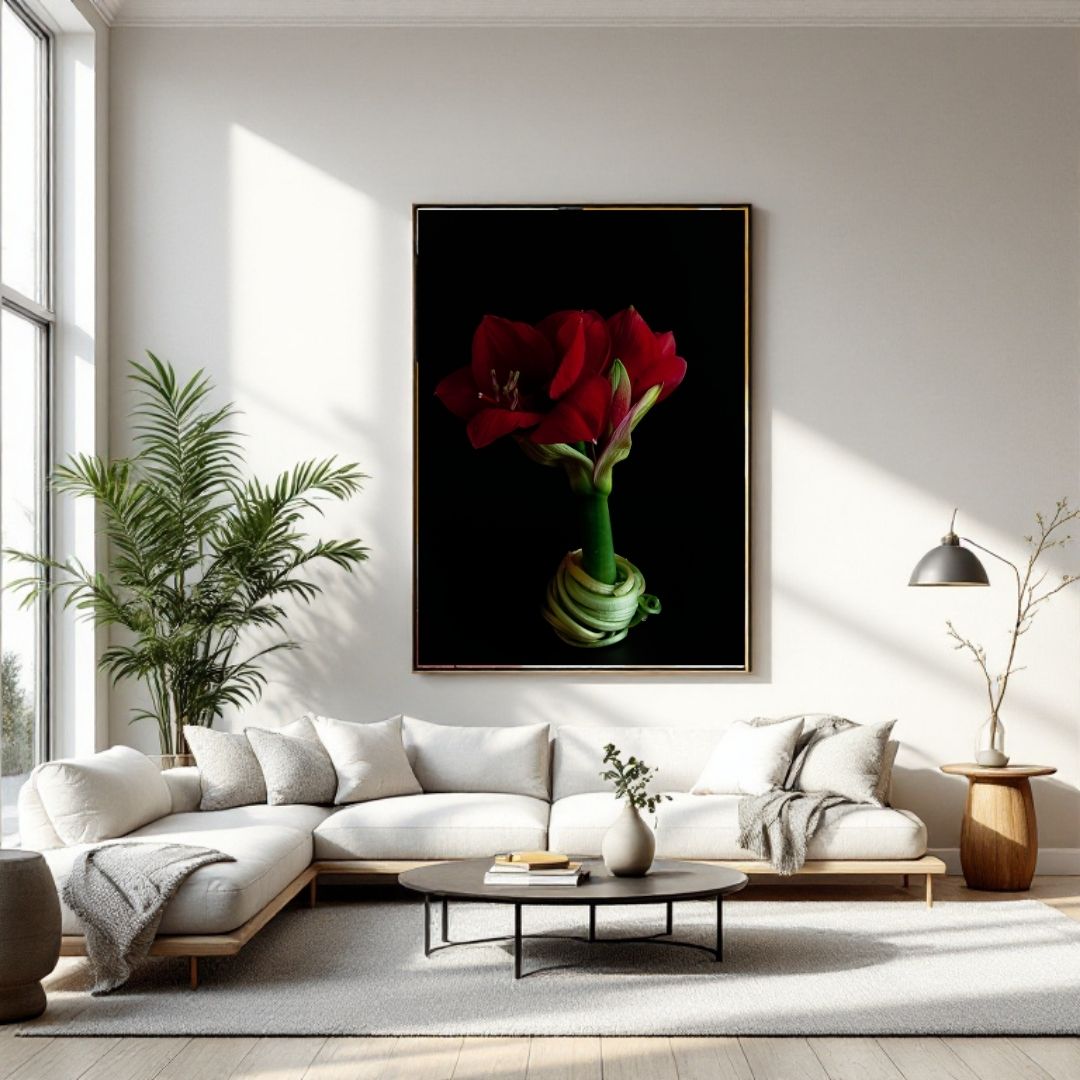 Amaryllis Poster | Graceful Red - Vamejo Design