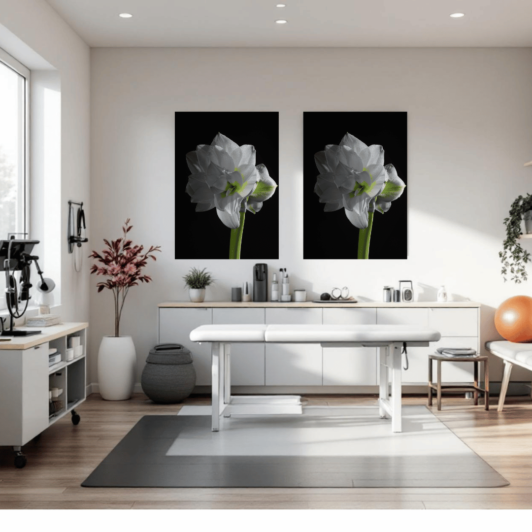  Elegante witte amaryllis bloem met subtiele groene accenten tegen een diepzwarte achtergrond, vastgelegd in een artistieke botanische kunstprint op premium papier.