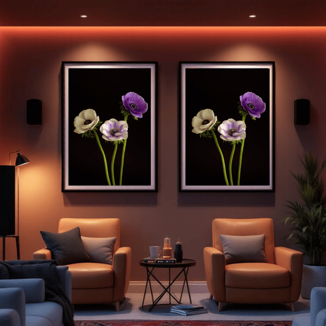 Kunstfotografie van drie elegante anemonen in wit, lavendel en paars tegen een diepzwarte achtergrond.