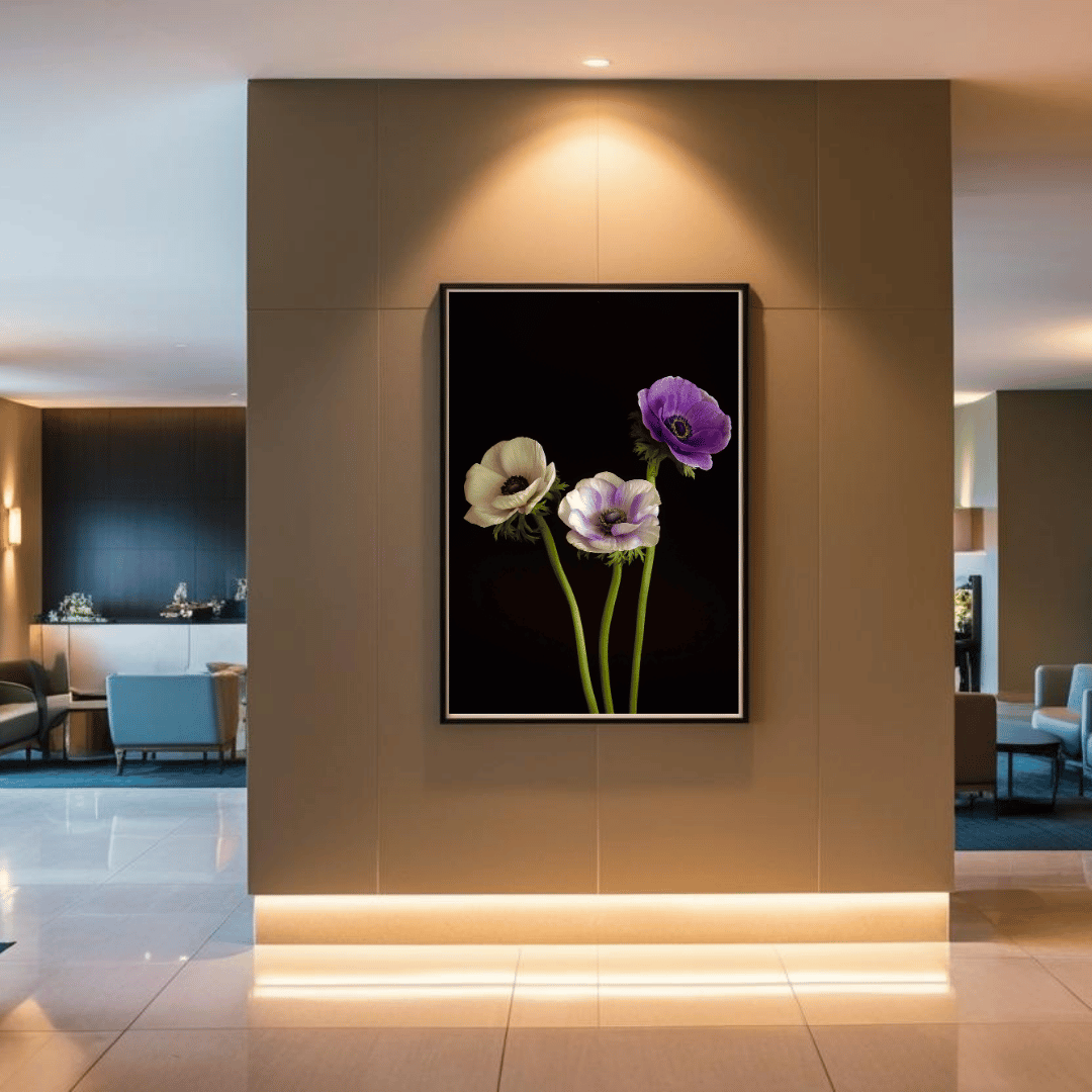 Kunstfotografie van drie elegante anemonen in wit, lavendel en paars tegen een diepzwarte achtergrond.
