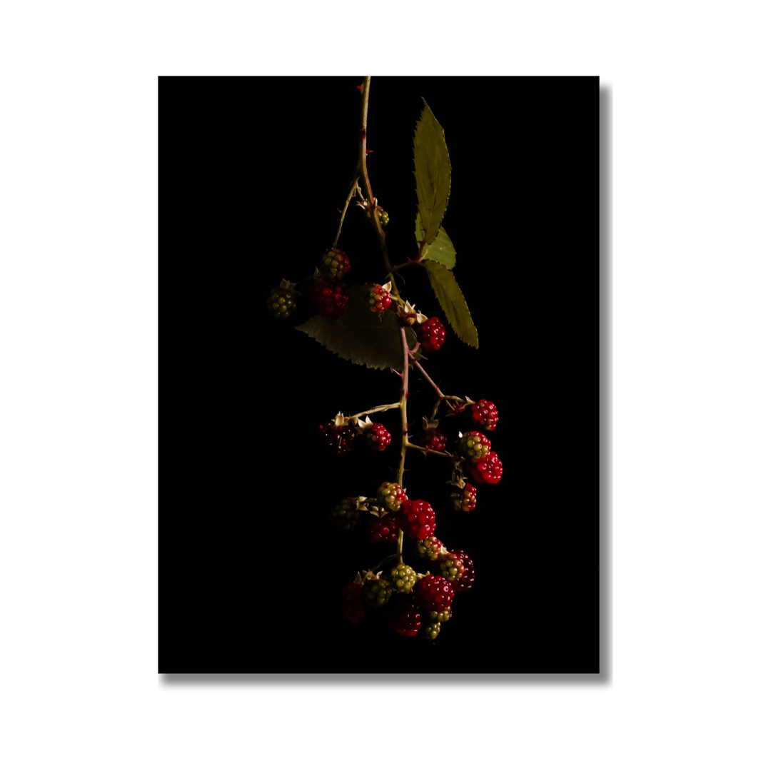 Bramen Poster | Shadows and Sweet Secrets - Vamejo Design
