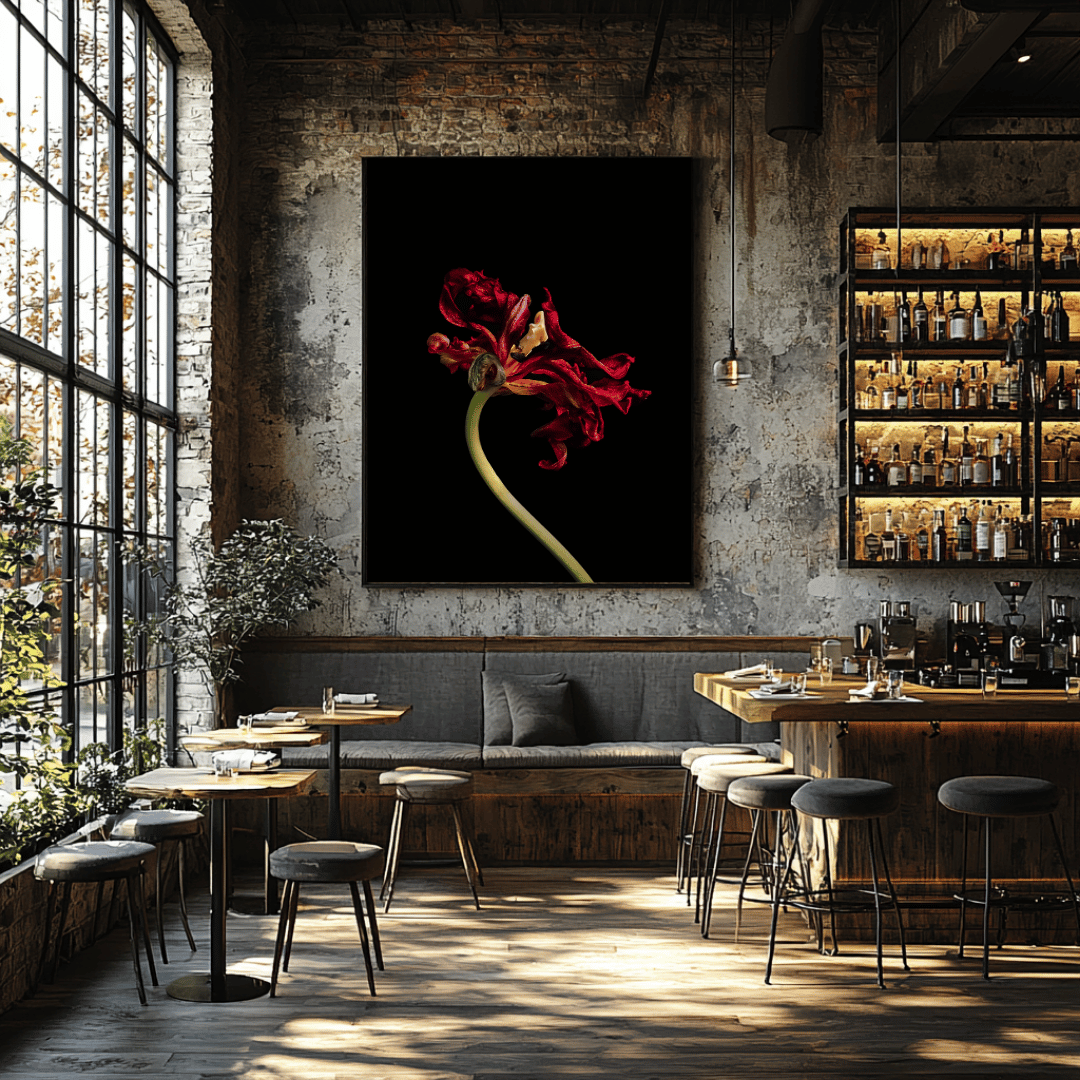 Foto van donkerrode, verwelkende tulp met gekrulde blaadjes tegen een diepzwarte achtergrond in modern ingericht restaurant