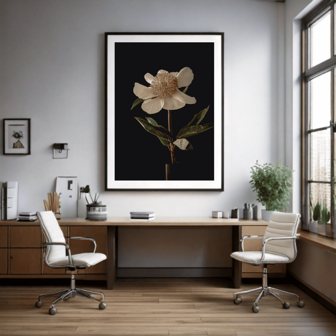 Een elegante witte pioen met crèmekleurig hart tegen een diepzwarte achtergrond. De delicate bloem heeft zes grote, lichtgetinte bloembladeren rondom een weelderig centrum van fijne meeldraden. De bloem wordt gedragen door een slanke stengel met enkele glanzende groene bladeren, wat zorgt voor een klassiek botanisch portret met een dramatisch contrast.