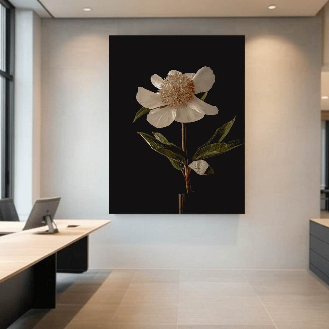 Een elegante witte pioen met crèmekleurig hart tegen een diepzwarte achtergrond. De delicate bloem heeft zes grote, lichtgetinte bloembladeren rondom een weelderig centrum van fijne meeldraden. De bloem wordt gedragen door een slanke stengel met enkele glanzende groene bladeren, wat zorgt voor een klassiek botanisch portret met een dramatisch contrast.