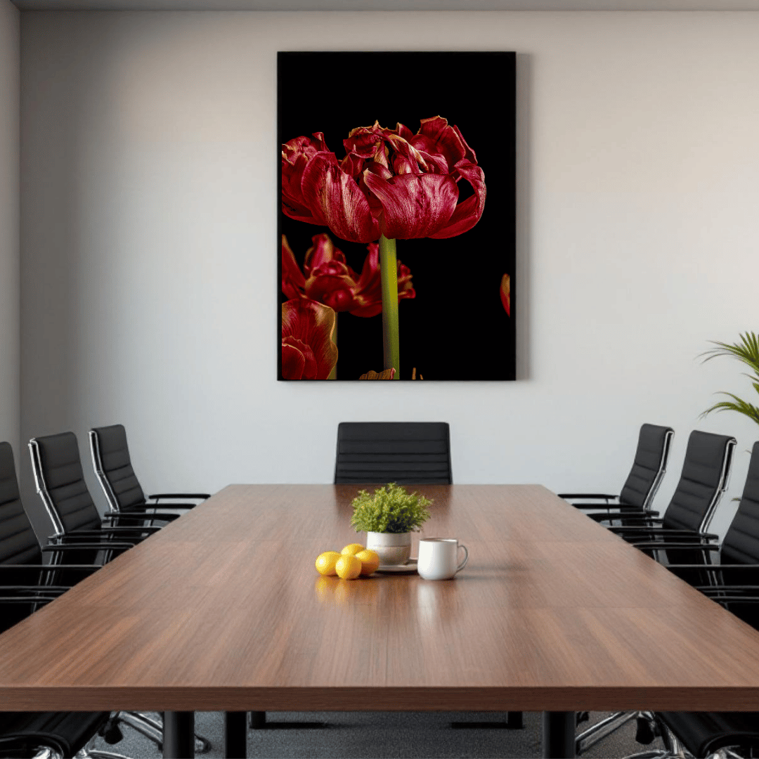 Een weelderige, dubbelbloemige rode tulp met fluweelachtige bloembladeren tegen een diepzwarte achtergrond. De bloem heeft een rijke, dieprode kleur met subtiele oranje accenten aan de randen van de bloembladeren. De gedetailleerde textuur van de bloembladeren is duidelijk zichtbaar, met glanzende oppervlakken die het licht reflecteren. De tulp wordt gedragen door een heldere, groene stengel, en onderin het beeld zijn nog enkele andere tulpen gedeeltelijk zichtbaar. De dramatische belichting benadrukt de le