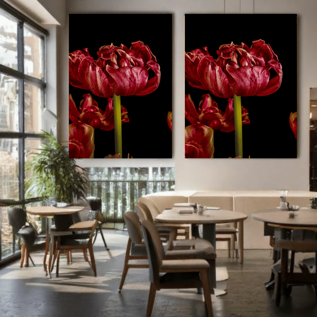 Een weelderige, dubbelbloemige rode tulp met fluweelachtige bloembladeren tegen een diepzwarte achtergrond. De bloem heeft een rijke, dieprode kleur met subtiele oranje accenten aan de randen van de bloembladeren. De gedetailleerde textuur van de bloembladeren is duidelijk zichtbaar, met glanzende oppervlakken die het licht reflecteren. De tulp wordt gedragen door een heldere, groene stengel, en onderin het beeld zijn nog enkele andere tulpen gedeeltelijk zichtbaar. De dramatische belichting benadrukt de le