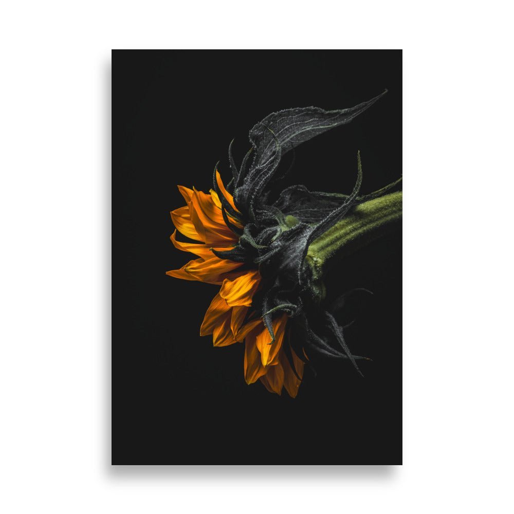 Zonnebloem Poster | Shadow Dance of the Sunflower - Vamejo Design